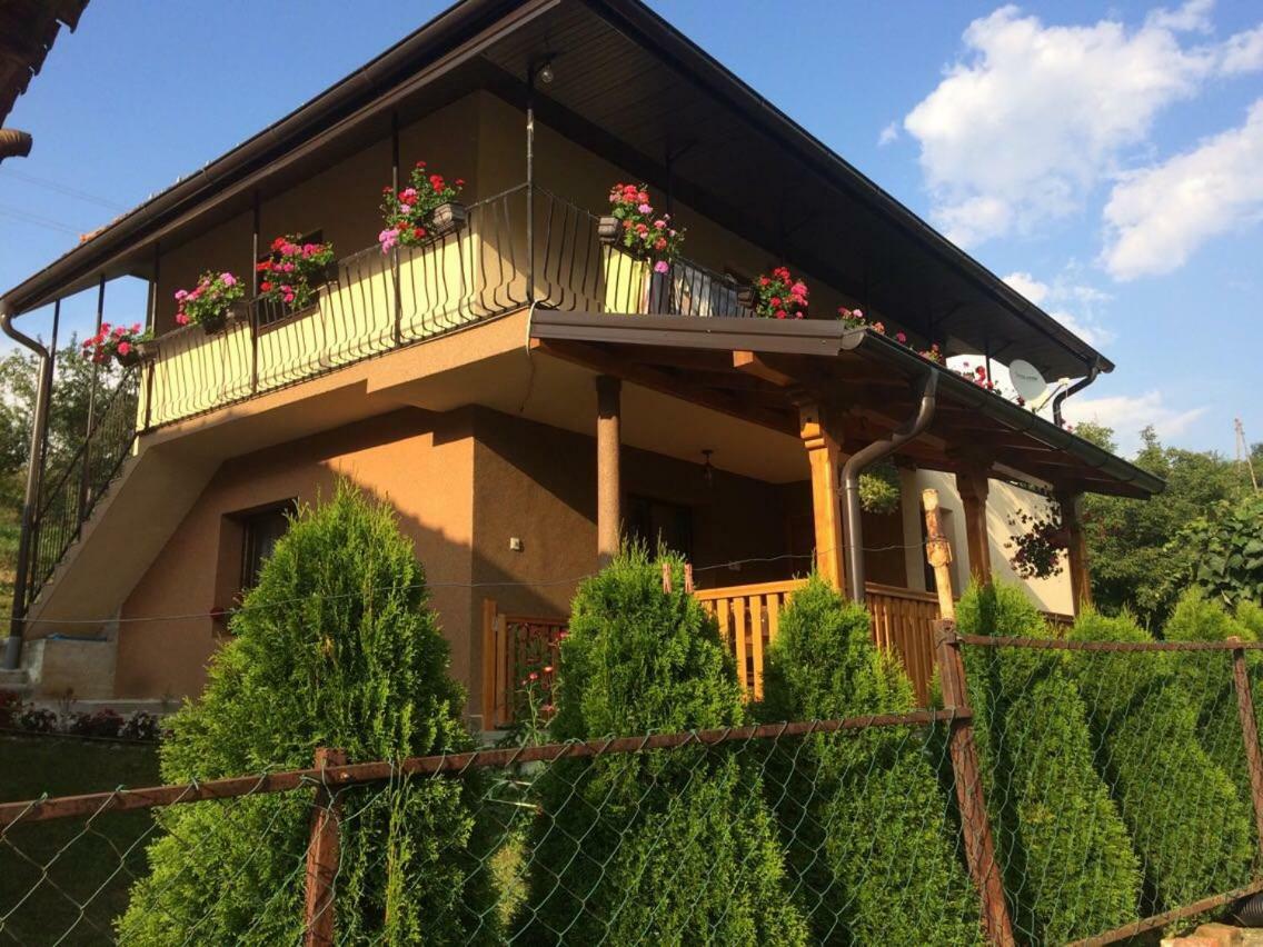이바니차 Turizam Koturovic B&B 외부 사진