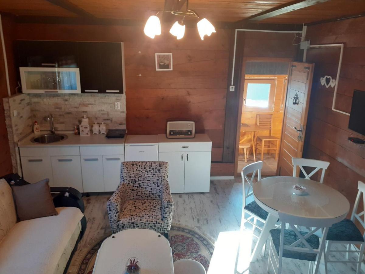 이바니차 Turizam Koturovic B&B 외부 사진