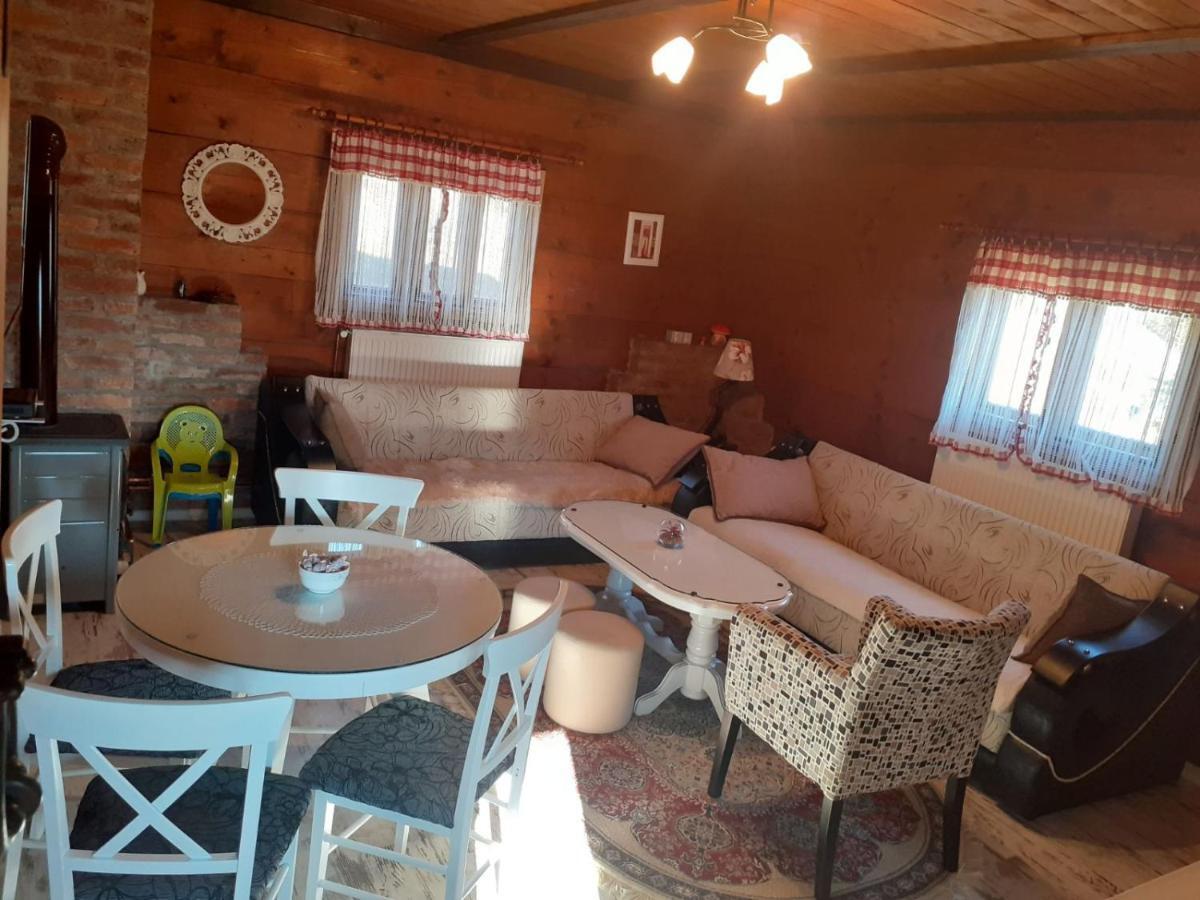 이바니차 Turizam Koturovic B&B 외부 사진