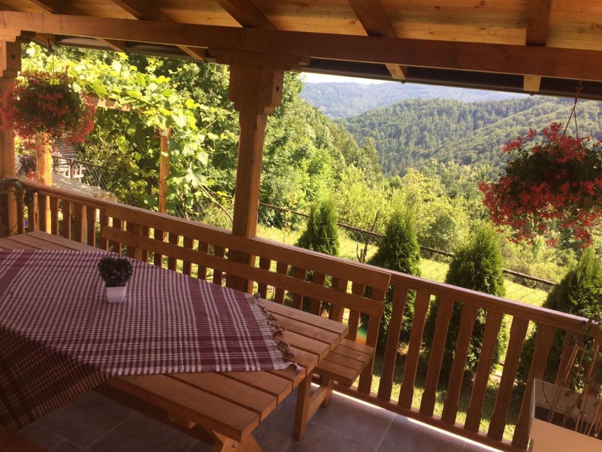 이바니차 Turizam Koturovic B&B 외부 사진